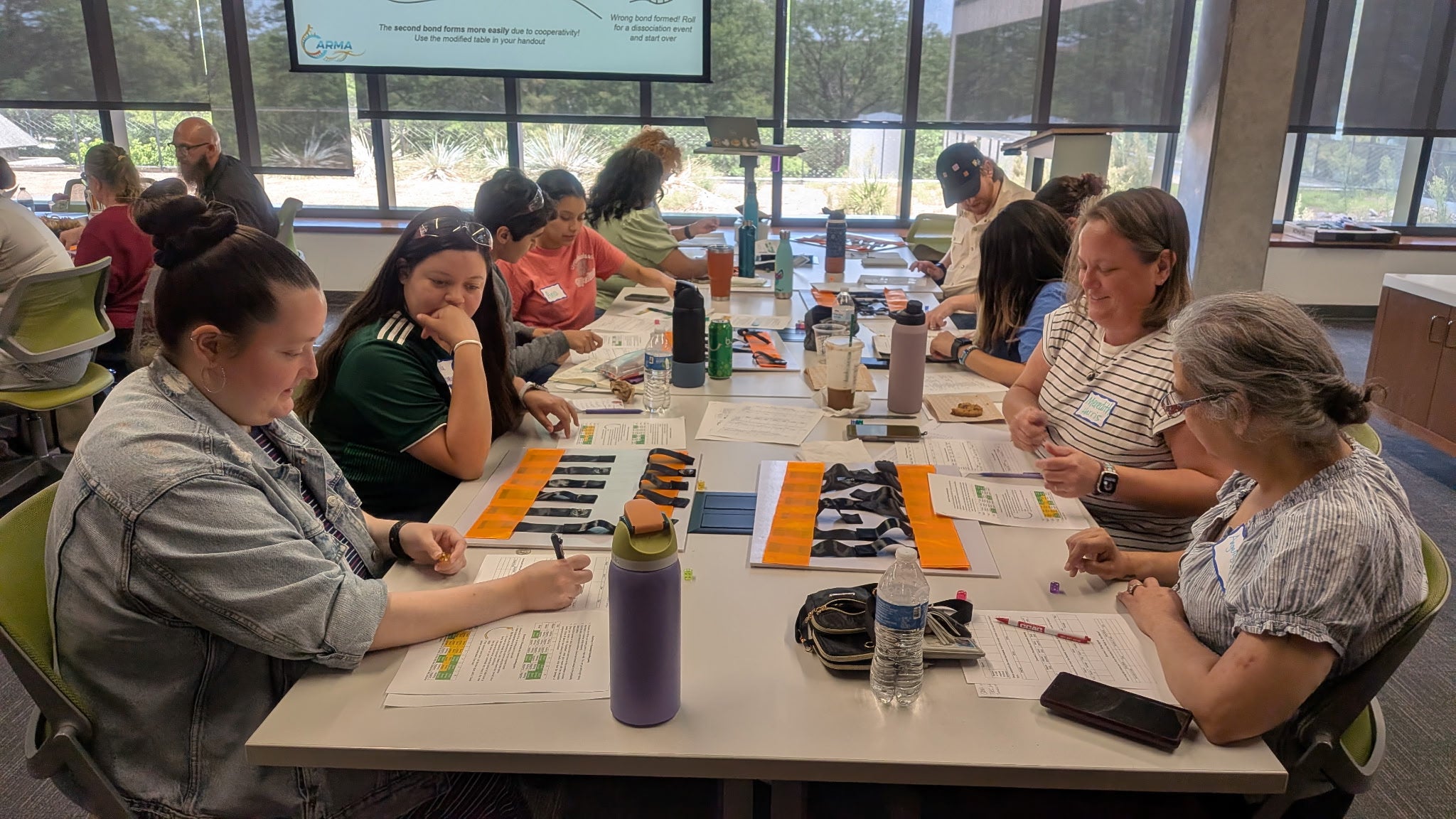 CARMA Teacher’s Workshop